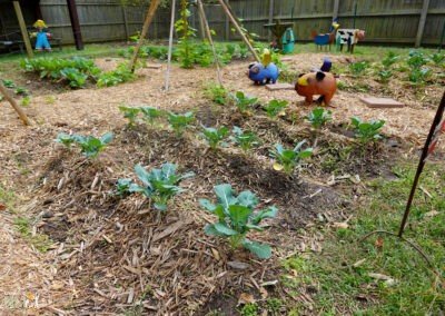 in ground beds